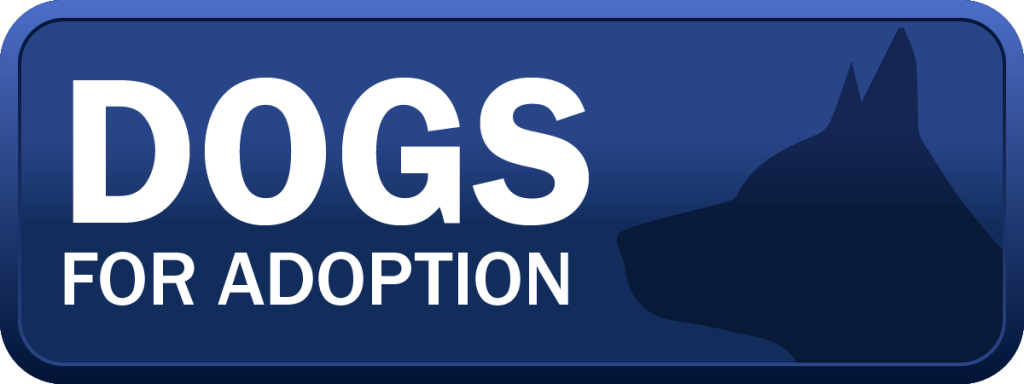 Dogs for adoption button