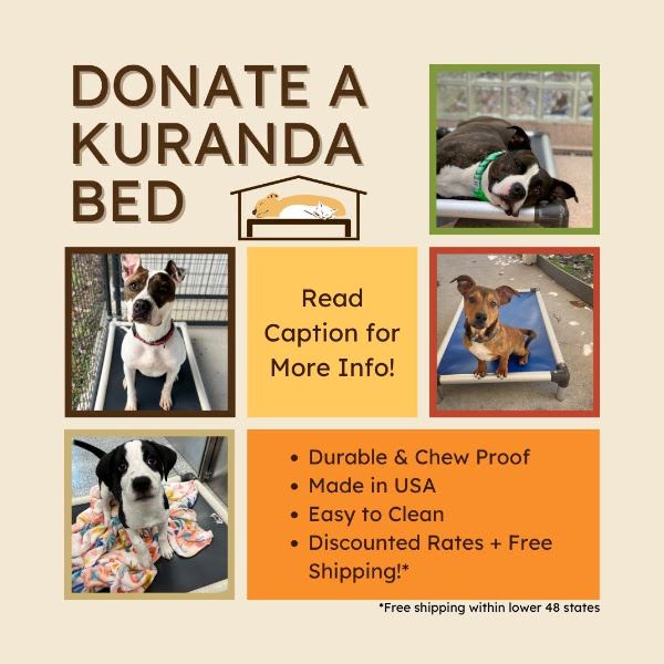 Donate a Kuranda Bed